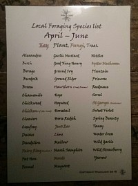 List of foraged edibles you would expect to  find between April & June approximately 50 (click on to enlarge)