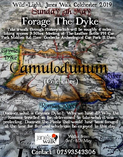 Poster for Forage the Dyke 2018 Wild-Light Design